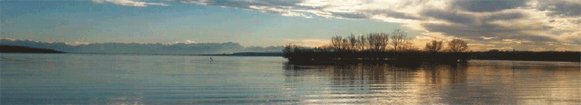 Rechtsanwältin Elisabeth Baus